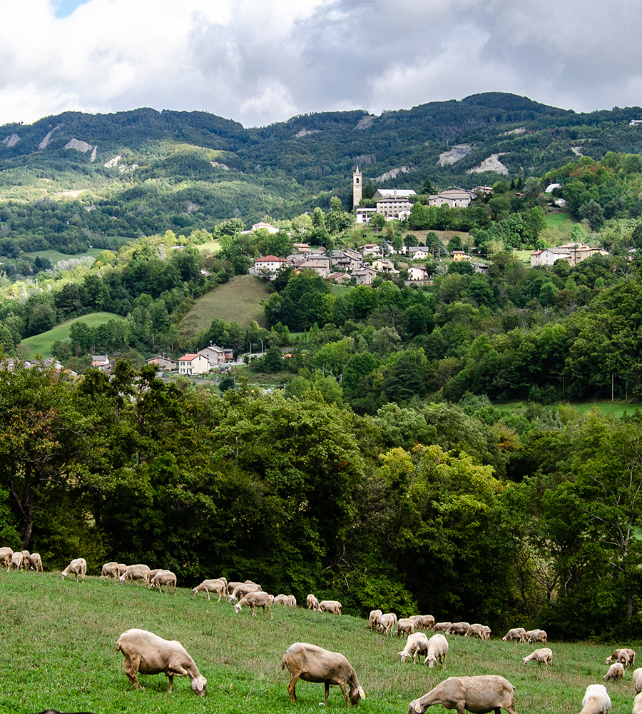Pastures of Fontanaluccia